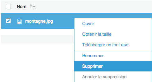 Vous pouvez supprimer un objet en faisant un clic droit dessus
