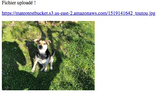 Notre fichier a été uploadé sur le cloud !